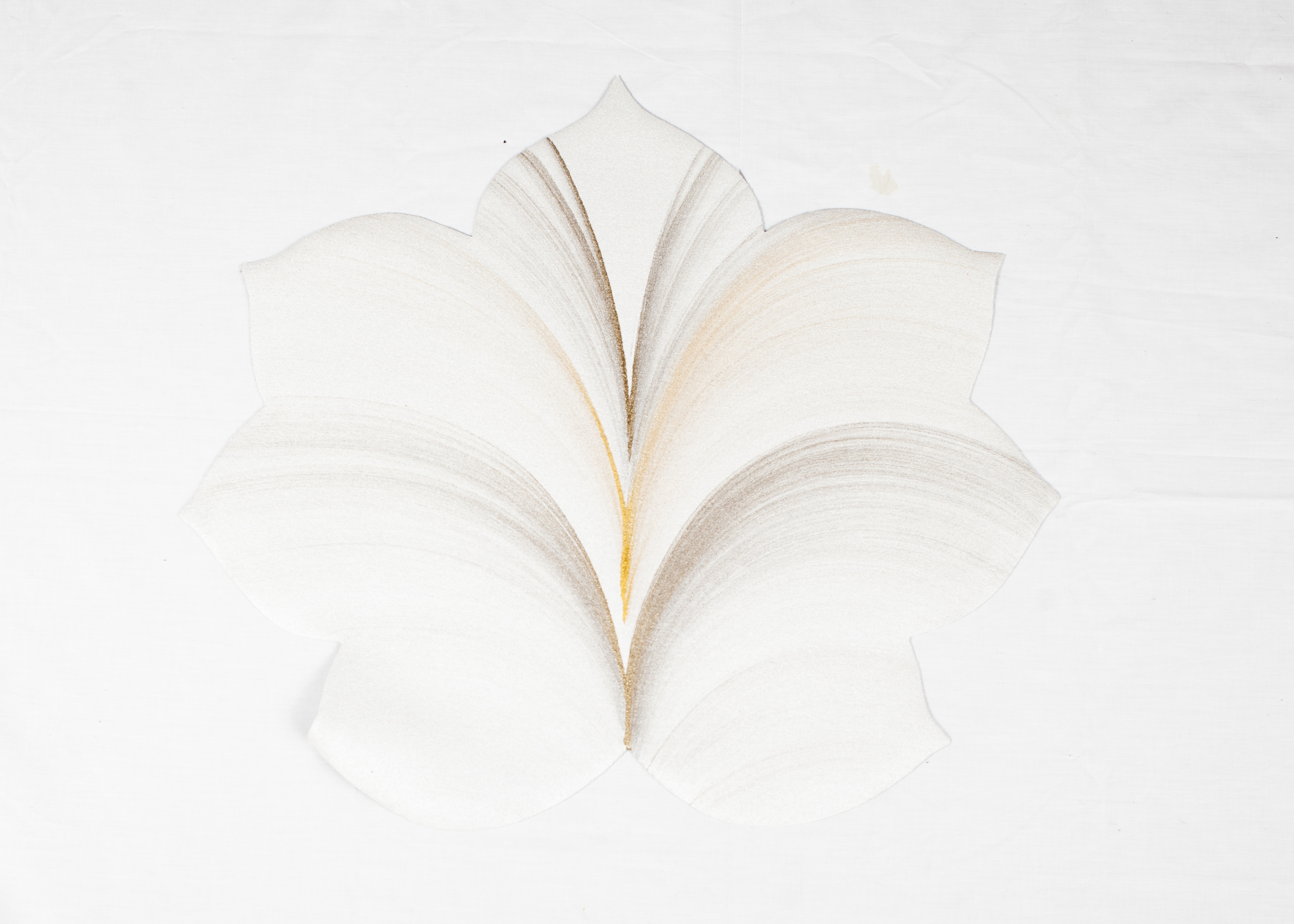 Carole Shiber Hand-Painted Placemats