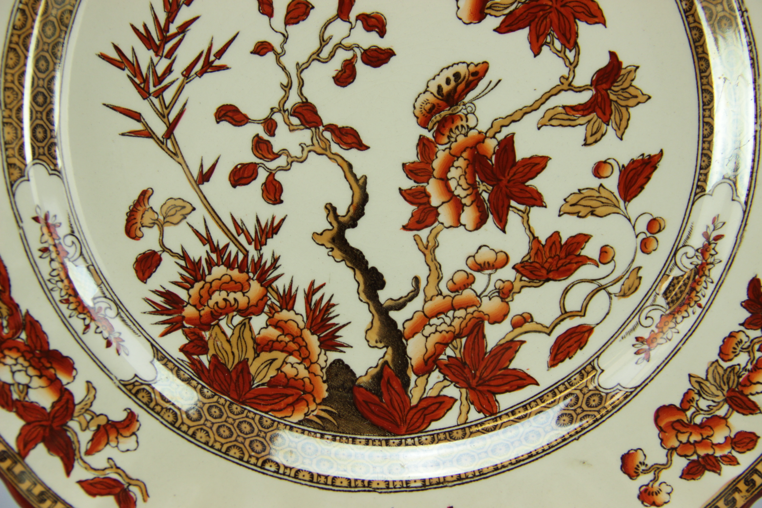 "India Tree" Spode China by Copeland
