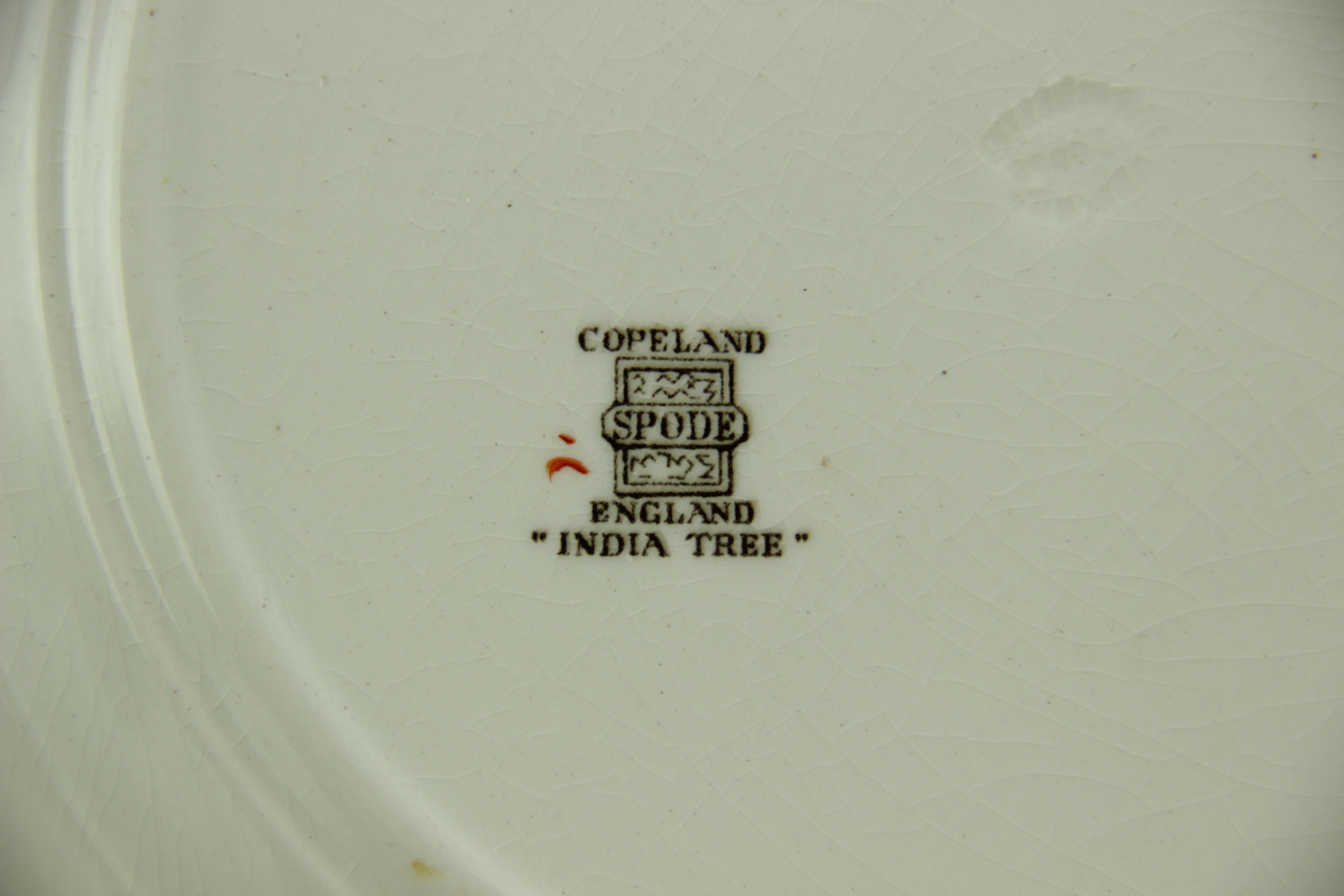 "India Tree" Spode China by Copeland