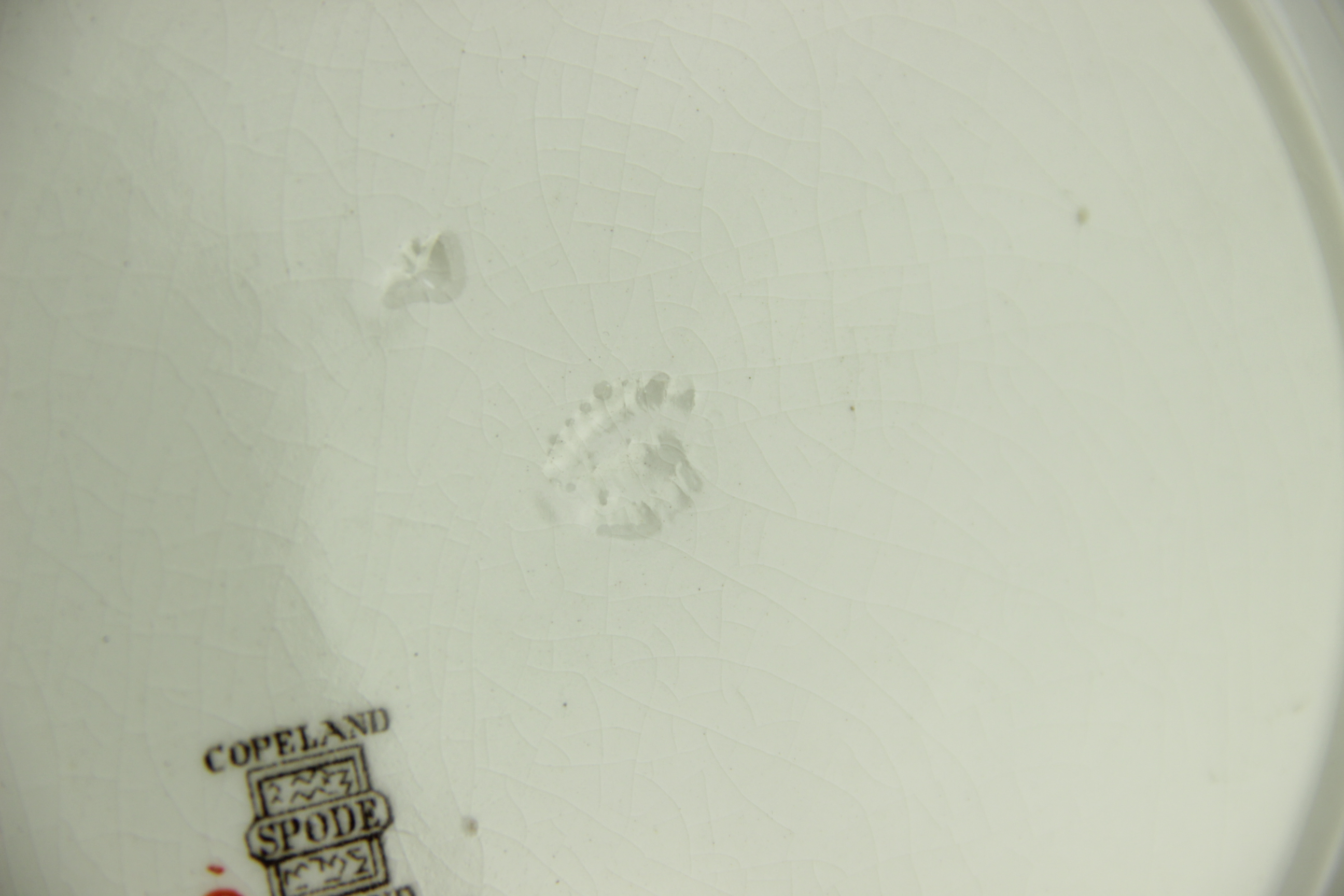 "India Tree" Spode China by Copeland