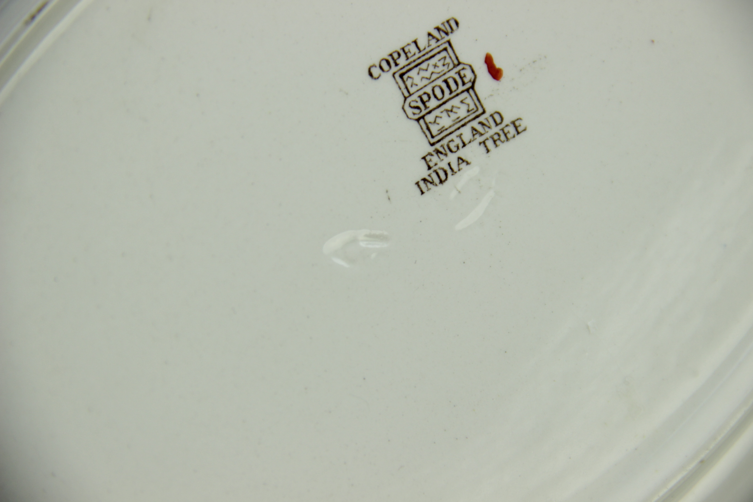 "India Tree" Spode China by Copeland