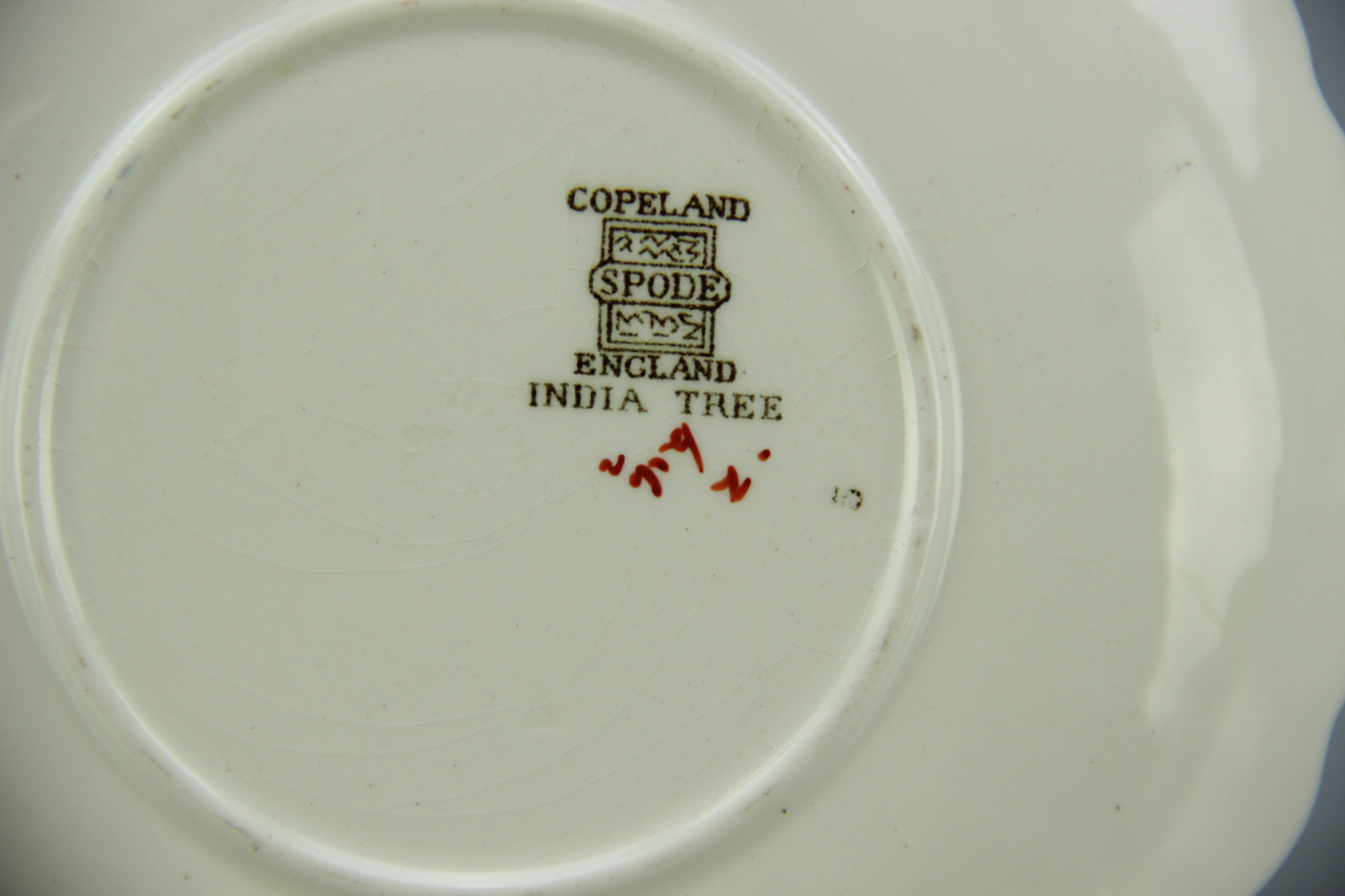 "India Tree" Spode China by Copeland