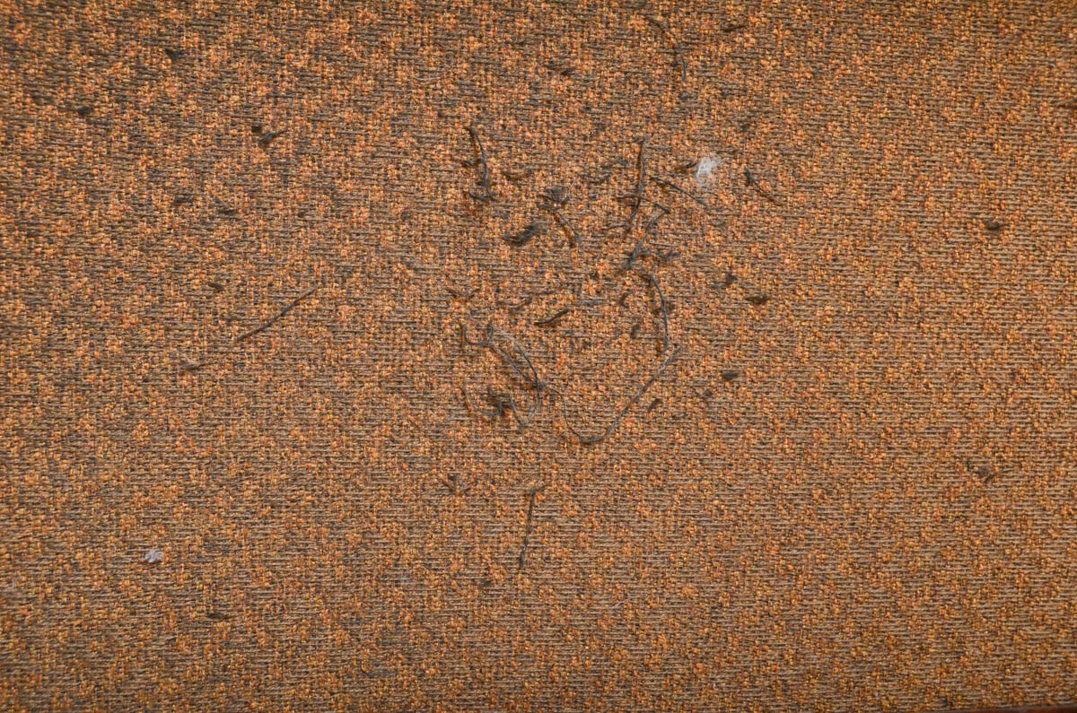 Wurlitzer Rally Funmaker Electric Organ