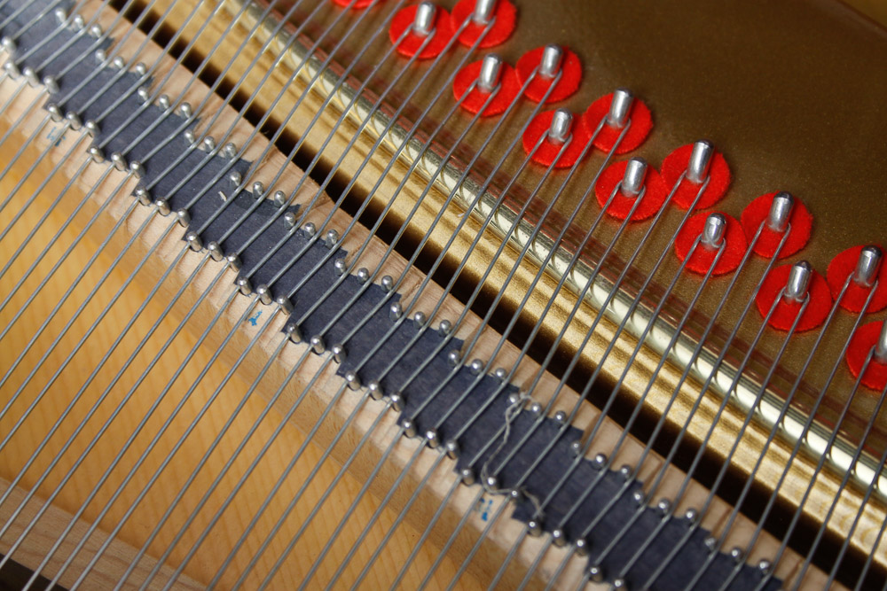 Nordiska Baby Grand Piano and Disc Player