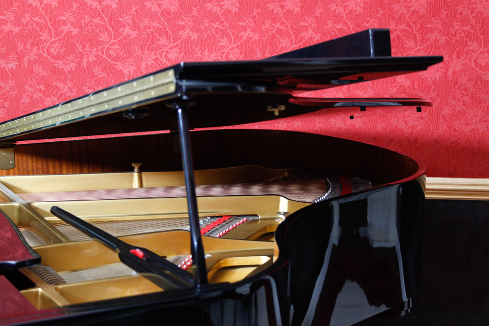 Nordiska Baby Grand Piano and Disc Player