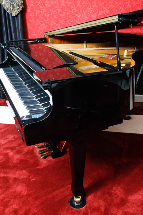 Nordiska Baby Grand Piano and Disc Player