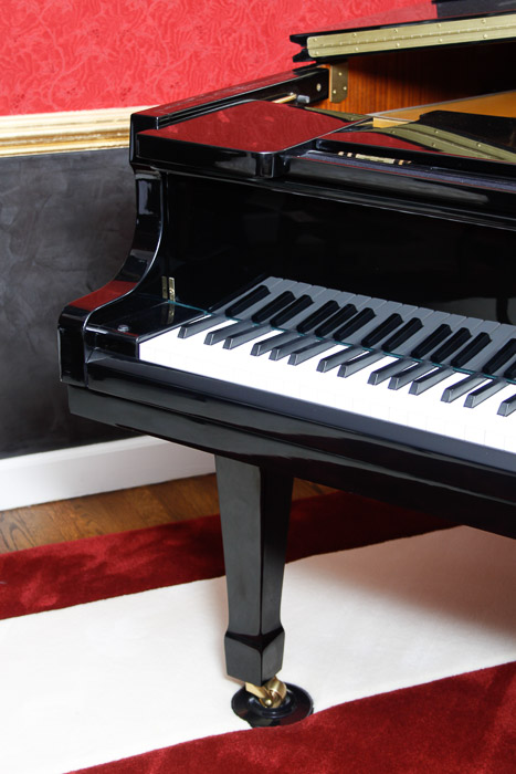 Nordiska Baby Grand Piano and Disc Player