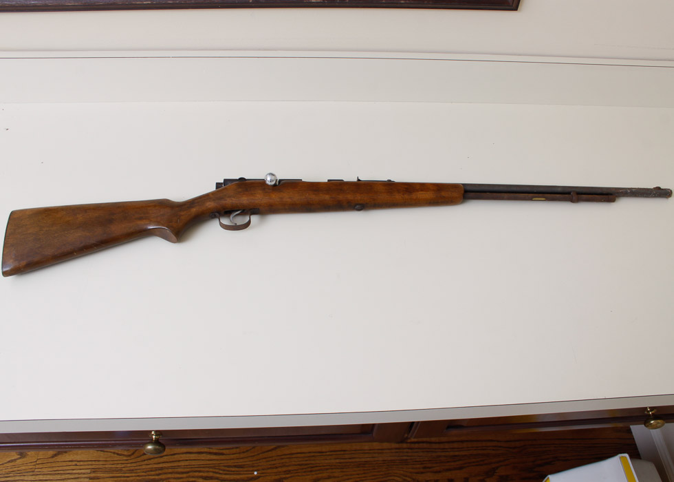 Springfield Model 86C .22 Rifle