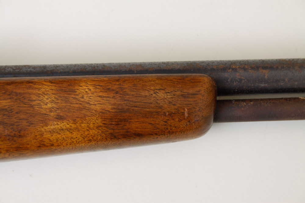 Springfield Model 86C .22 Rifle