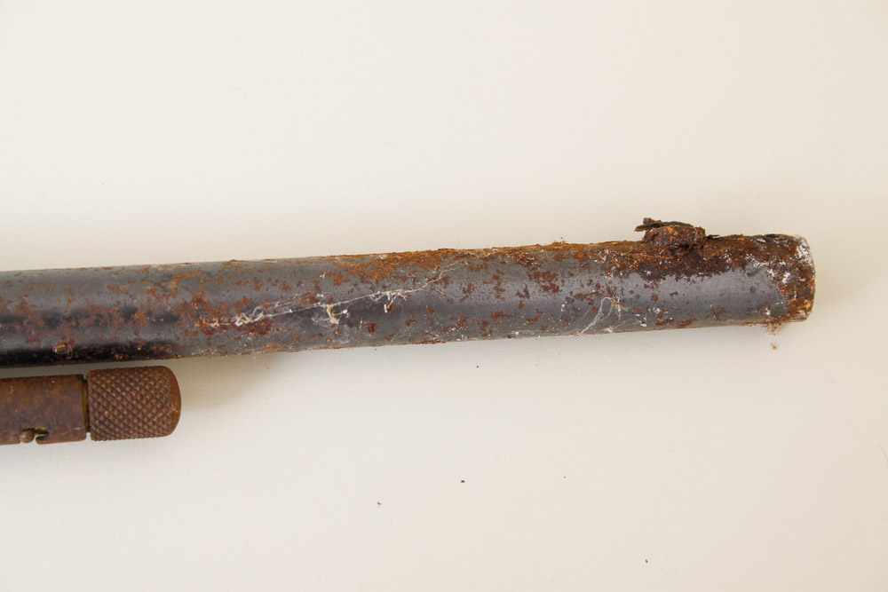 Springfield Model 86C .22 Rifle