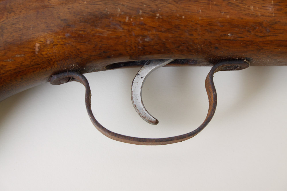 Springfield Model 86C .22 Rifle