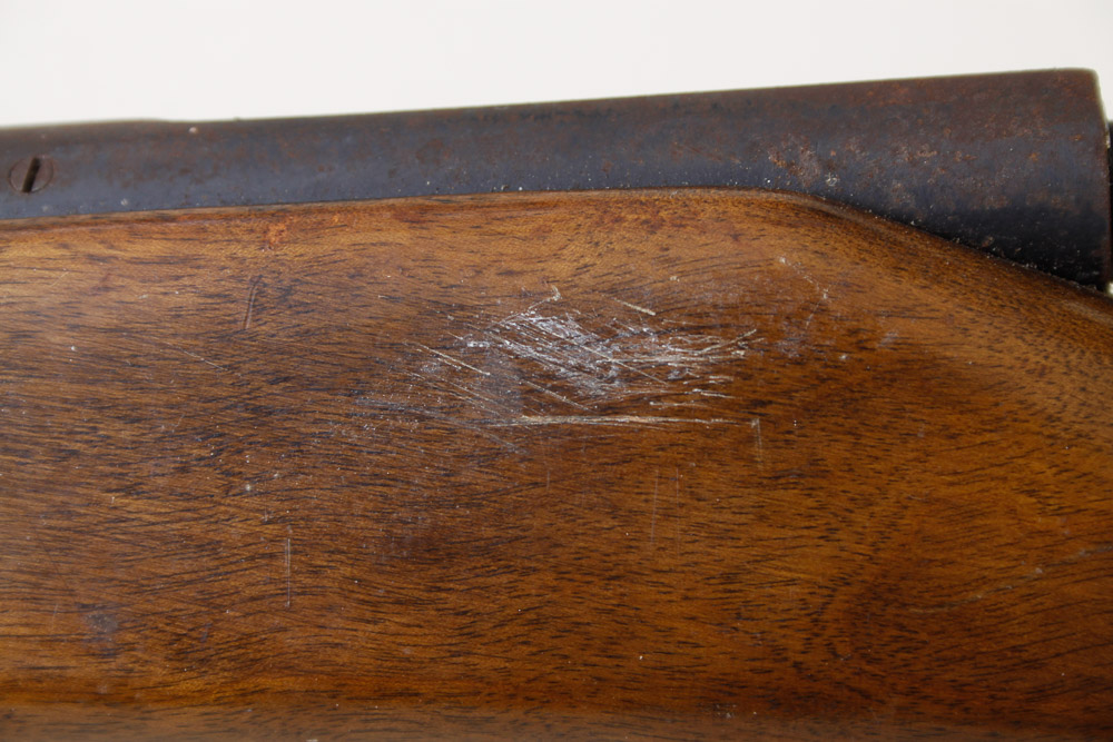 Springfield Model 86C .22 Rifle