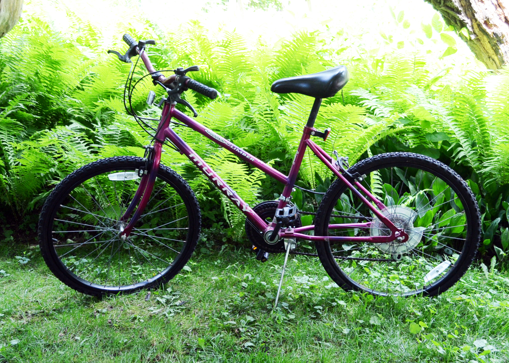 Murray Mountain Climber