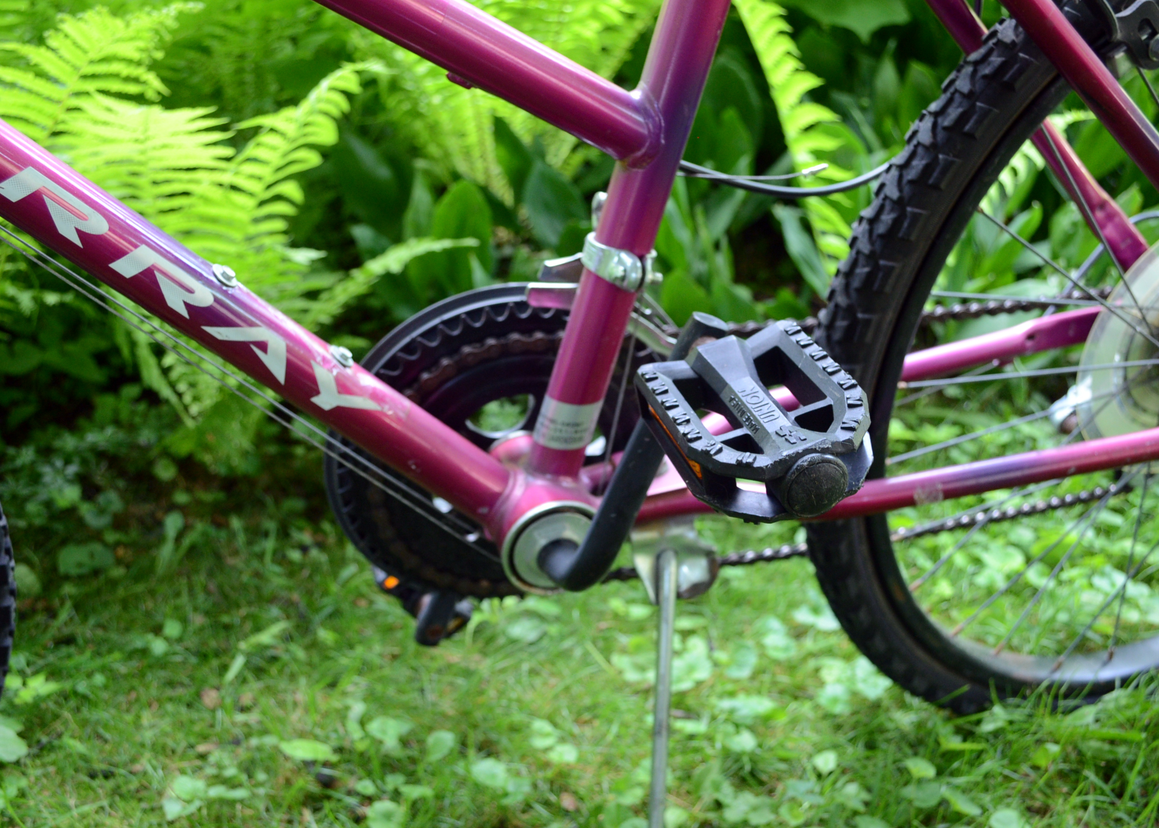 Murray Mountain Climber