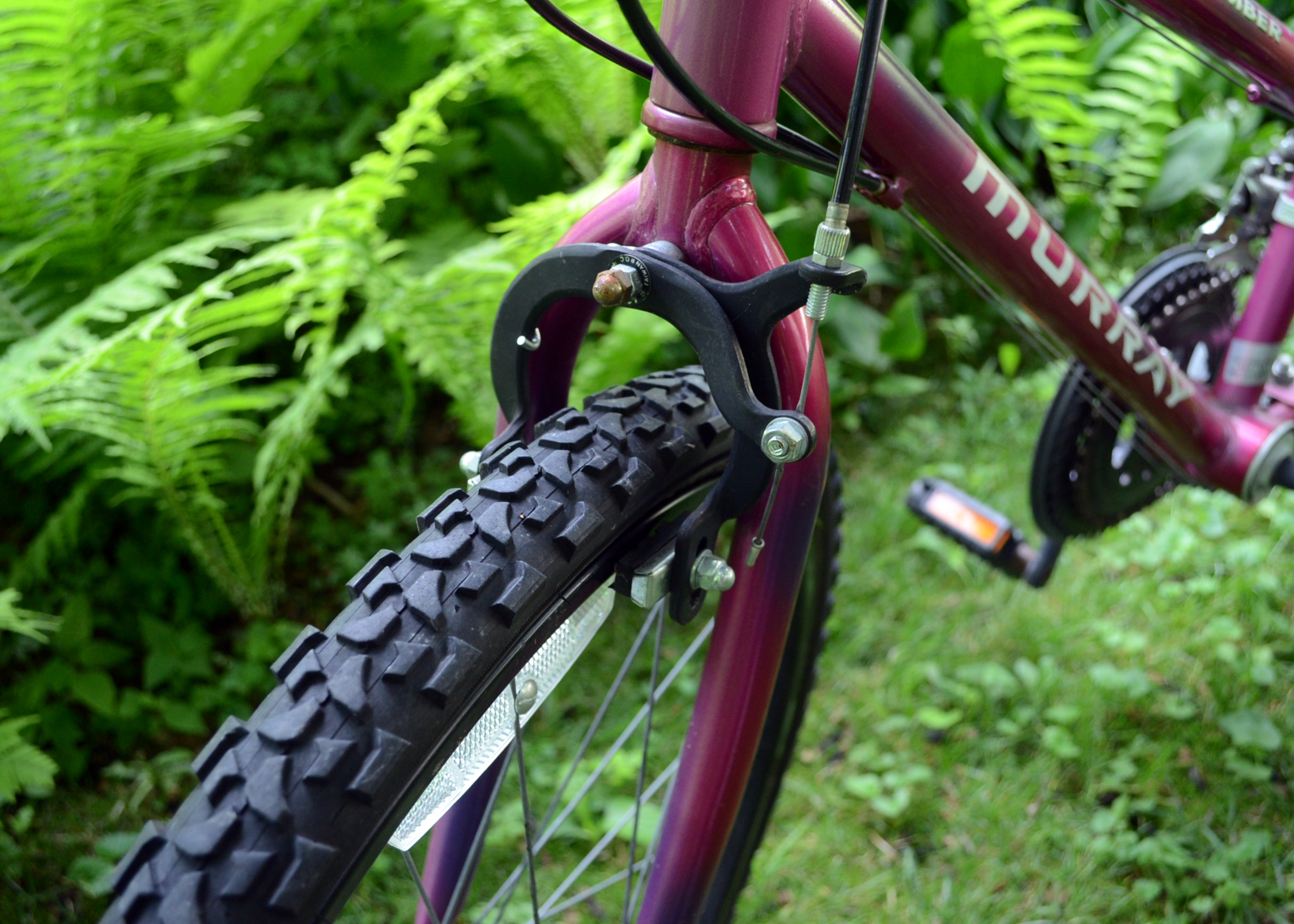 Murray Mountain Climber