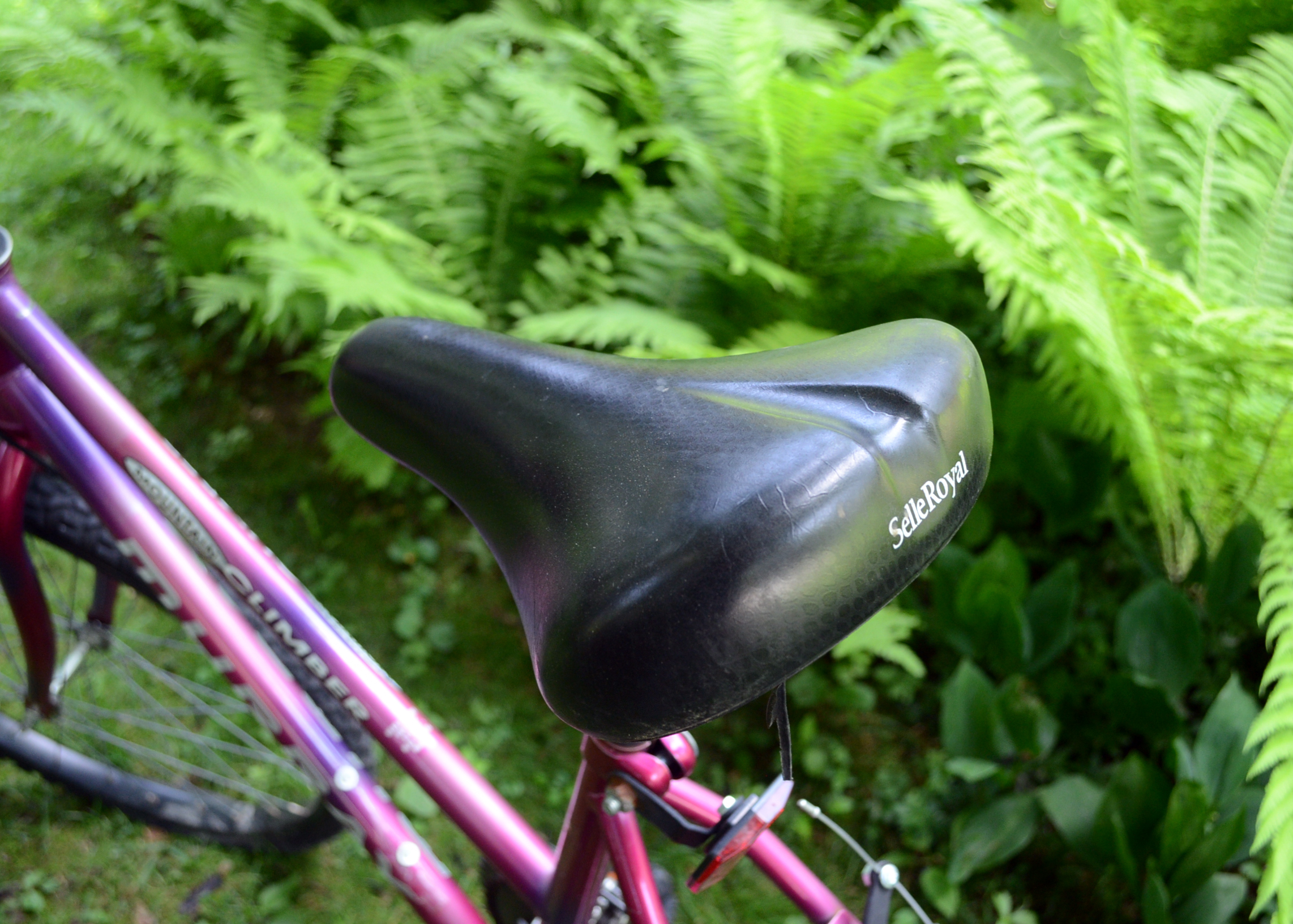 Murray Mountain Climber