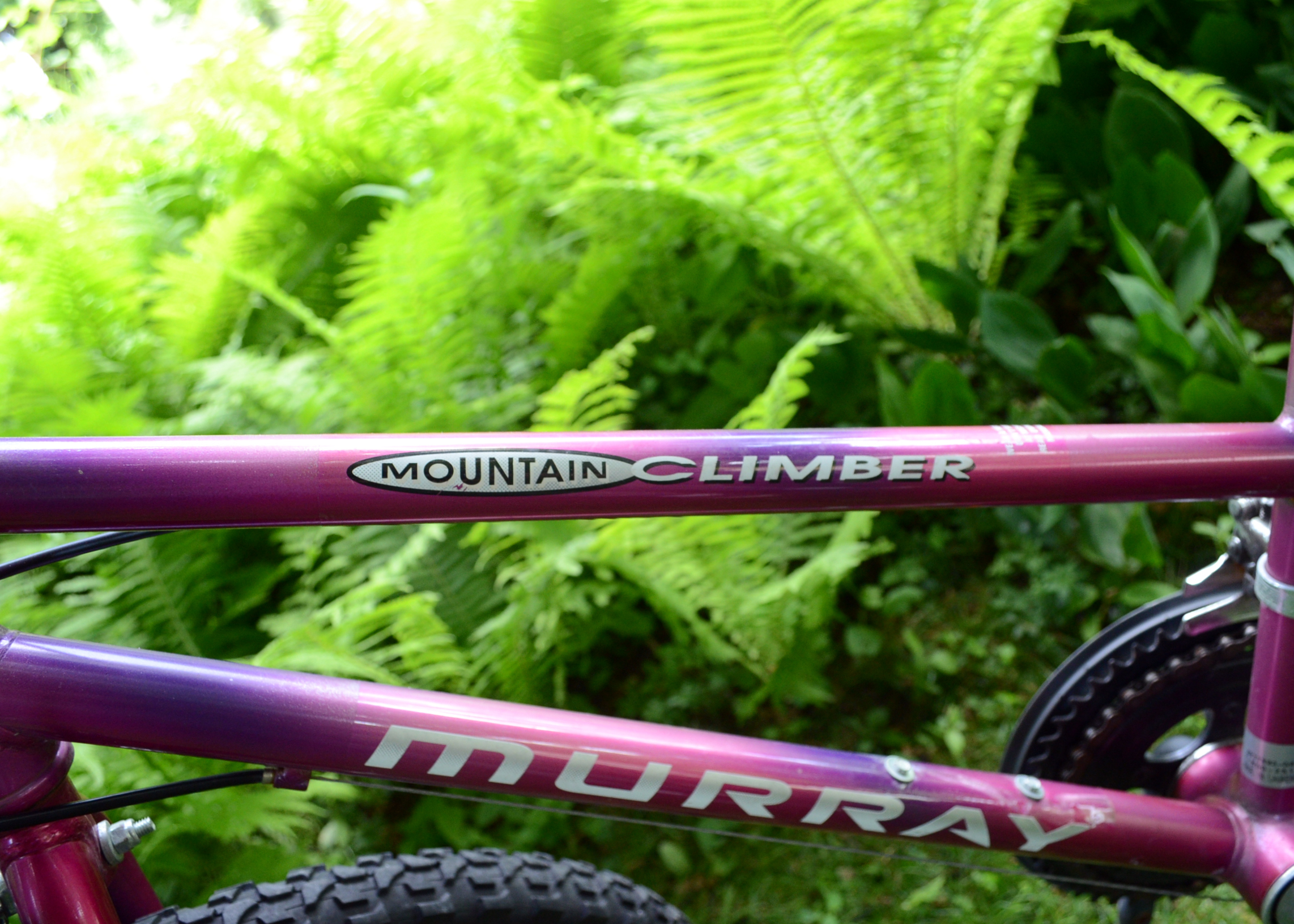 Murray Mountain Climber