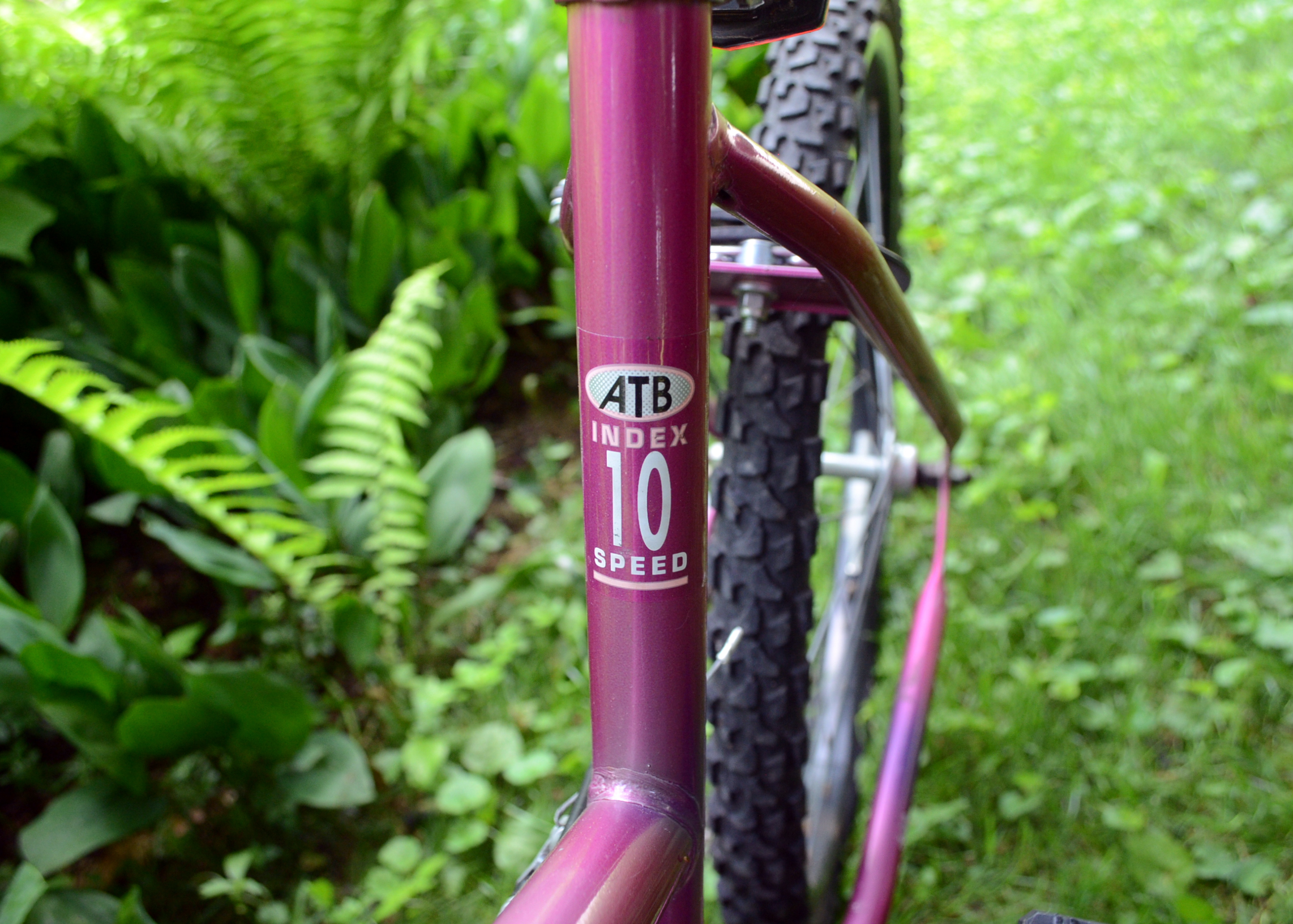 Murray Mountain Climber