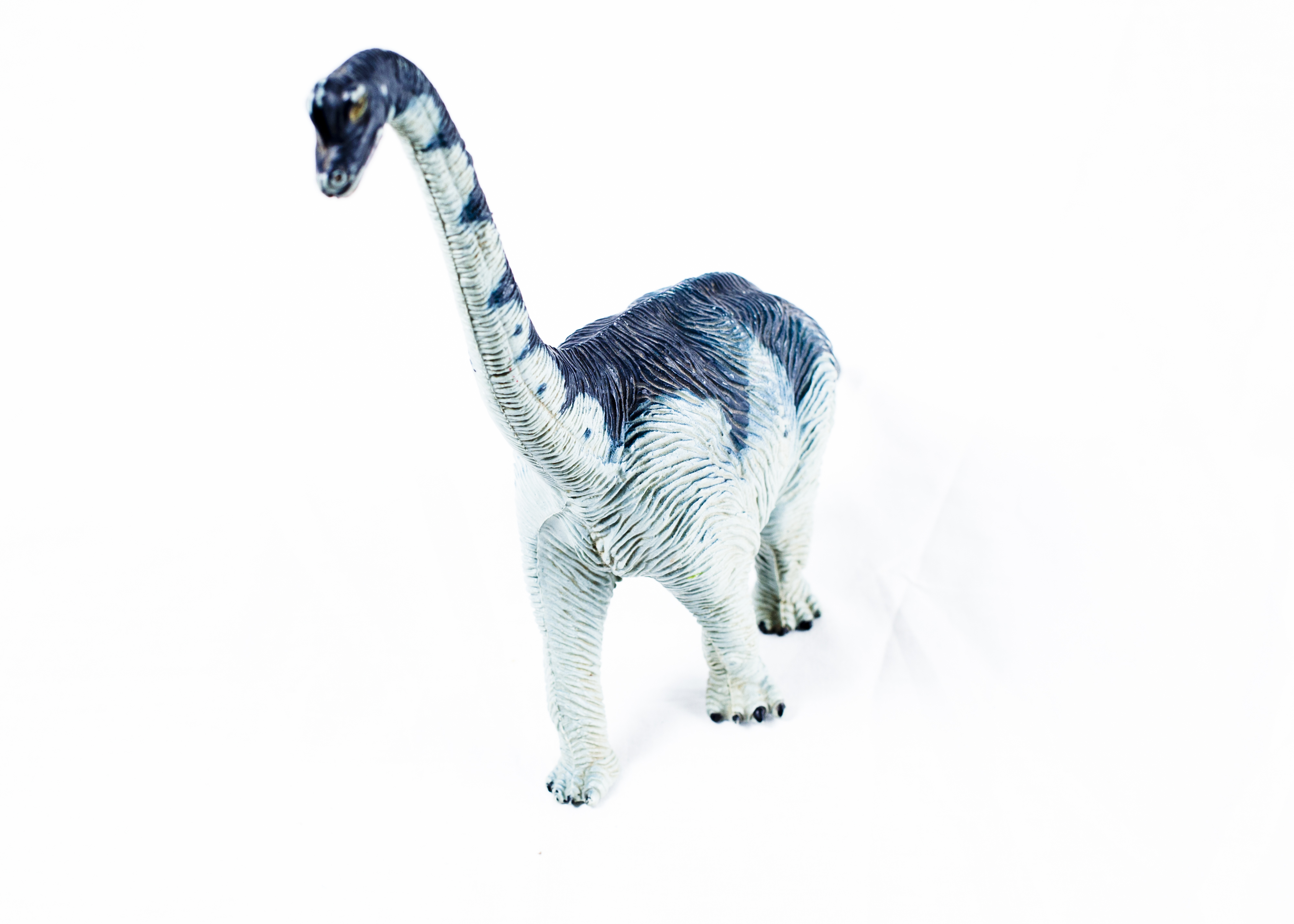 "Jurassic Park" Memorabilia