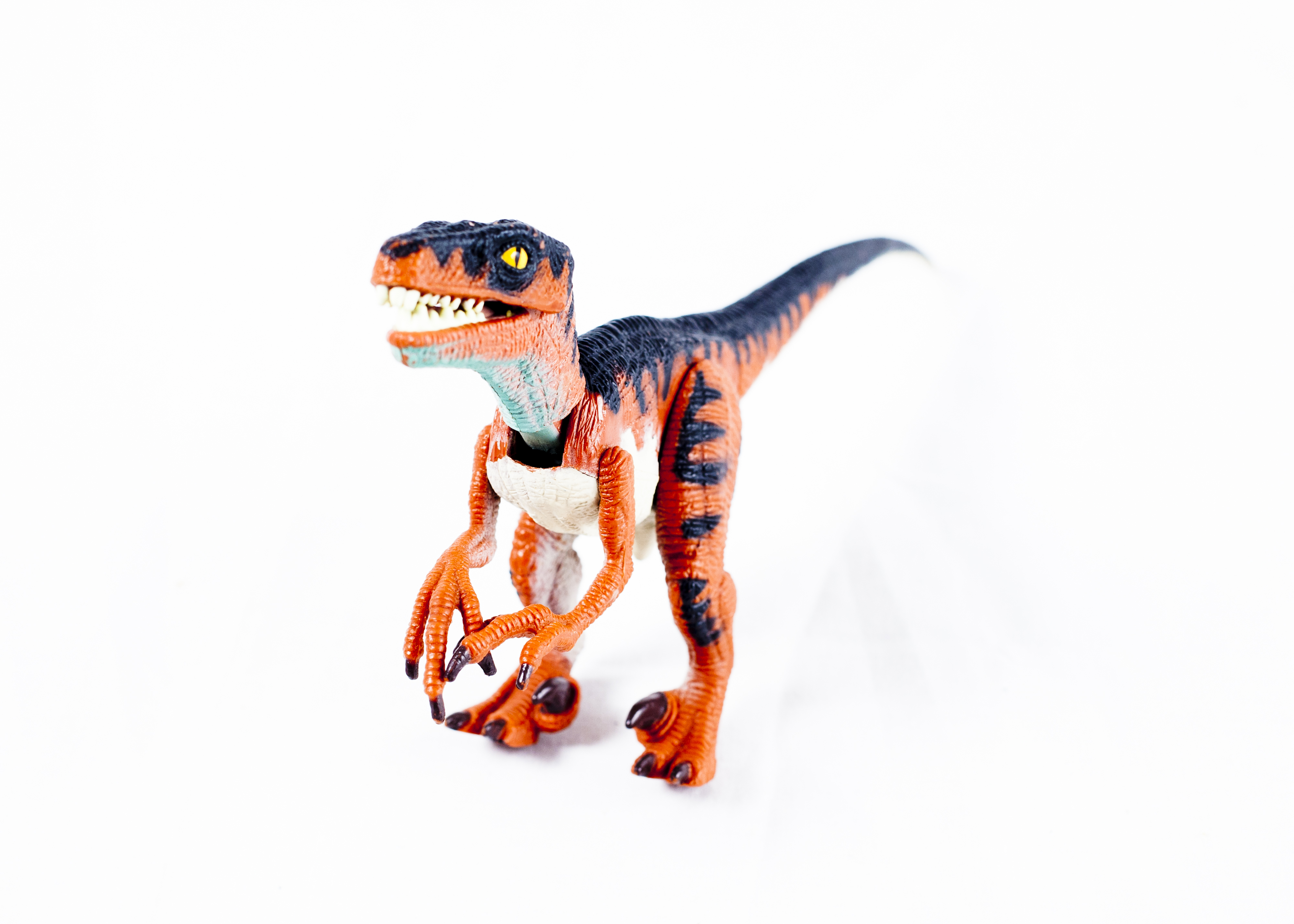 "Jurassic Park" Memorabilia