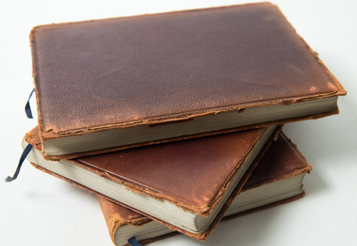 Edgar Allan Poe Library and Johnson & Hardin Classic Book Set