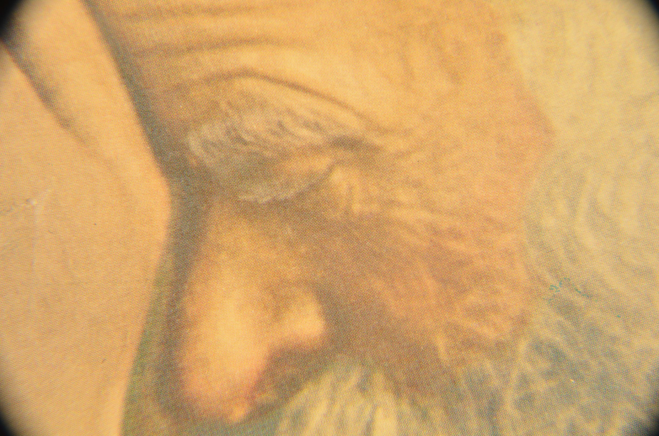 Offset Lithograph of "Grace" by Eric Enstrom