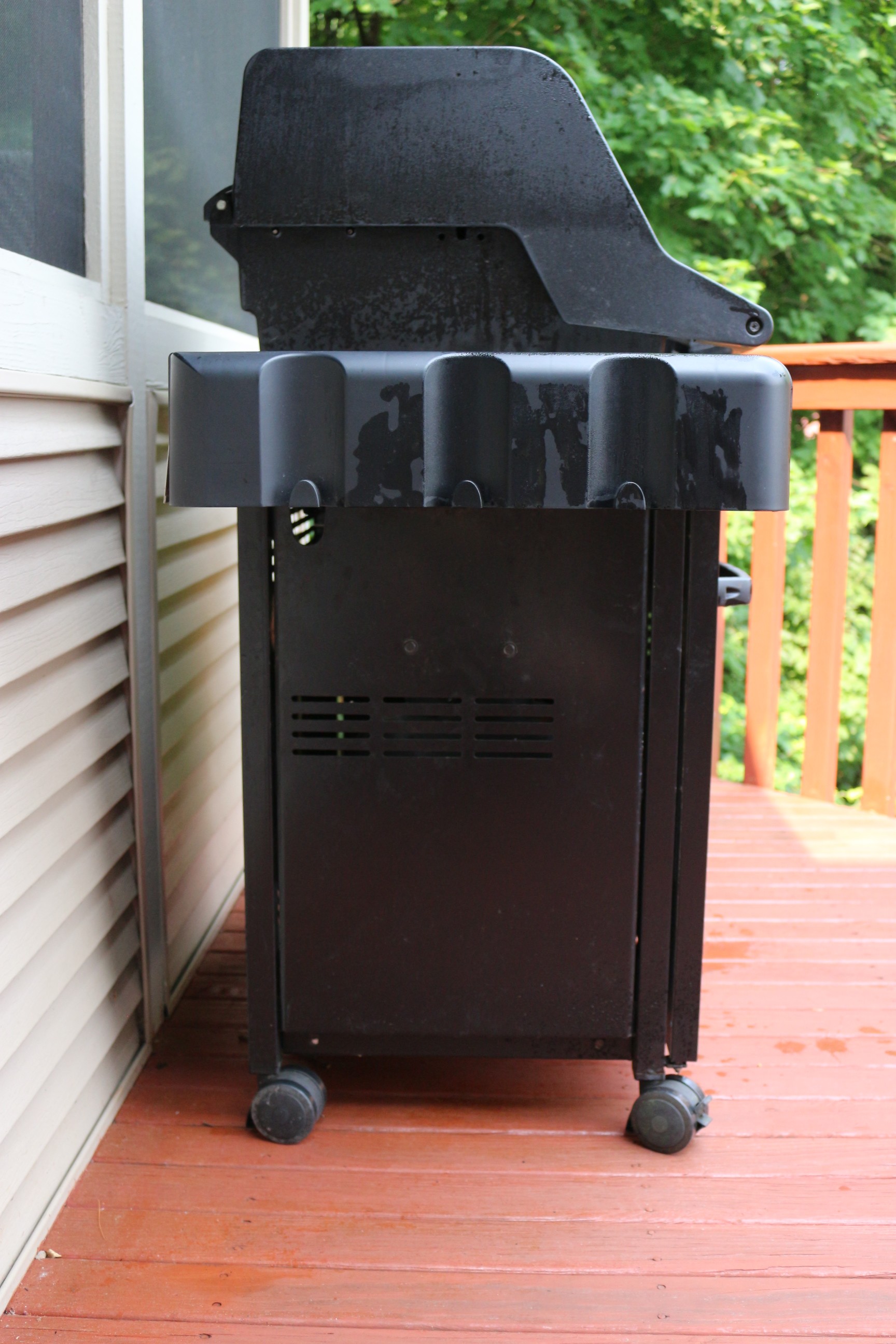 Weber Spirit Special Edition Outdoor Grill