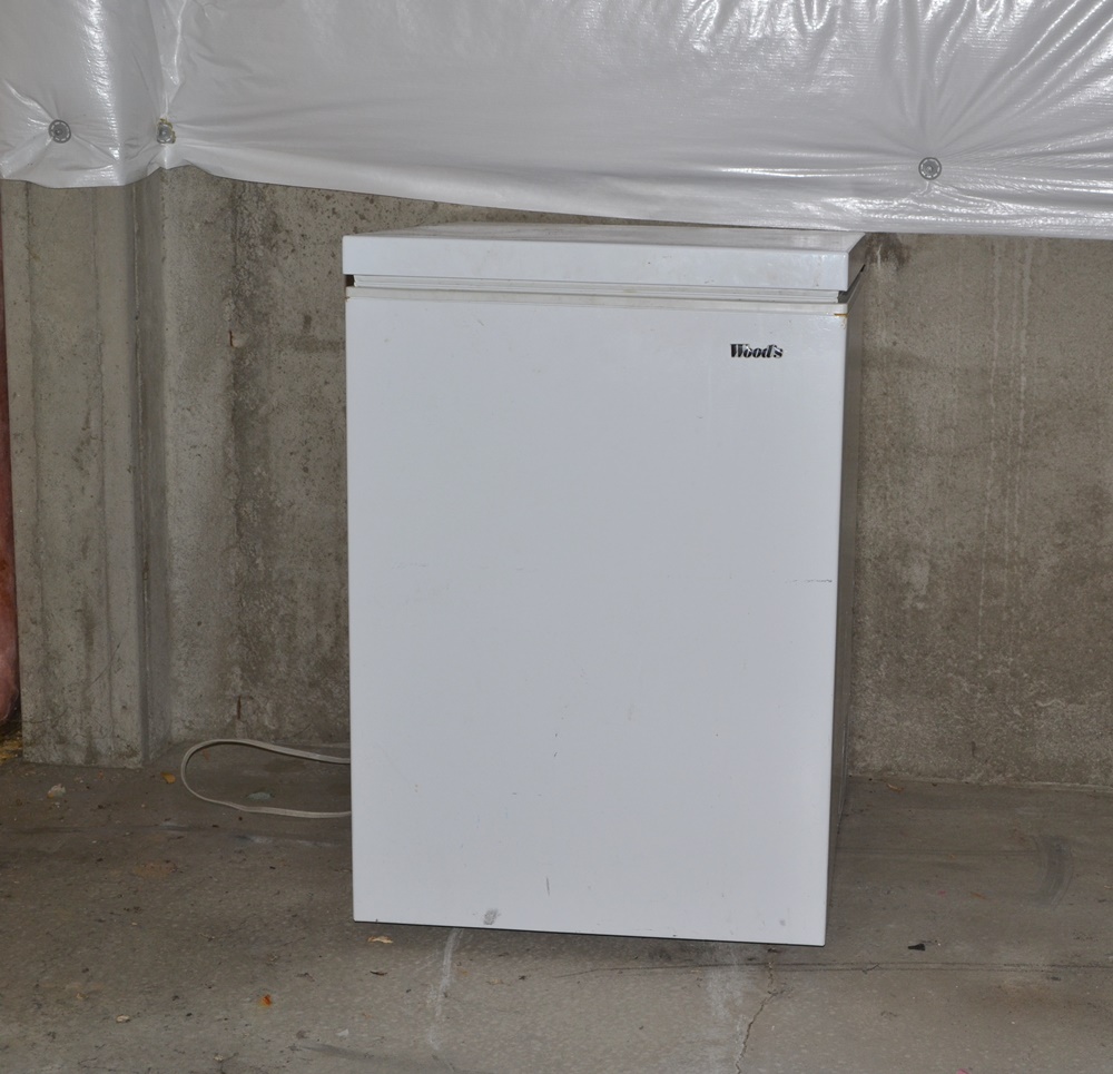 Woods 5.3 Cu. Ft. Compact Chest Freezer