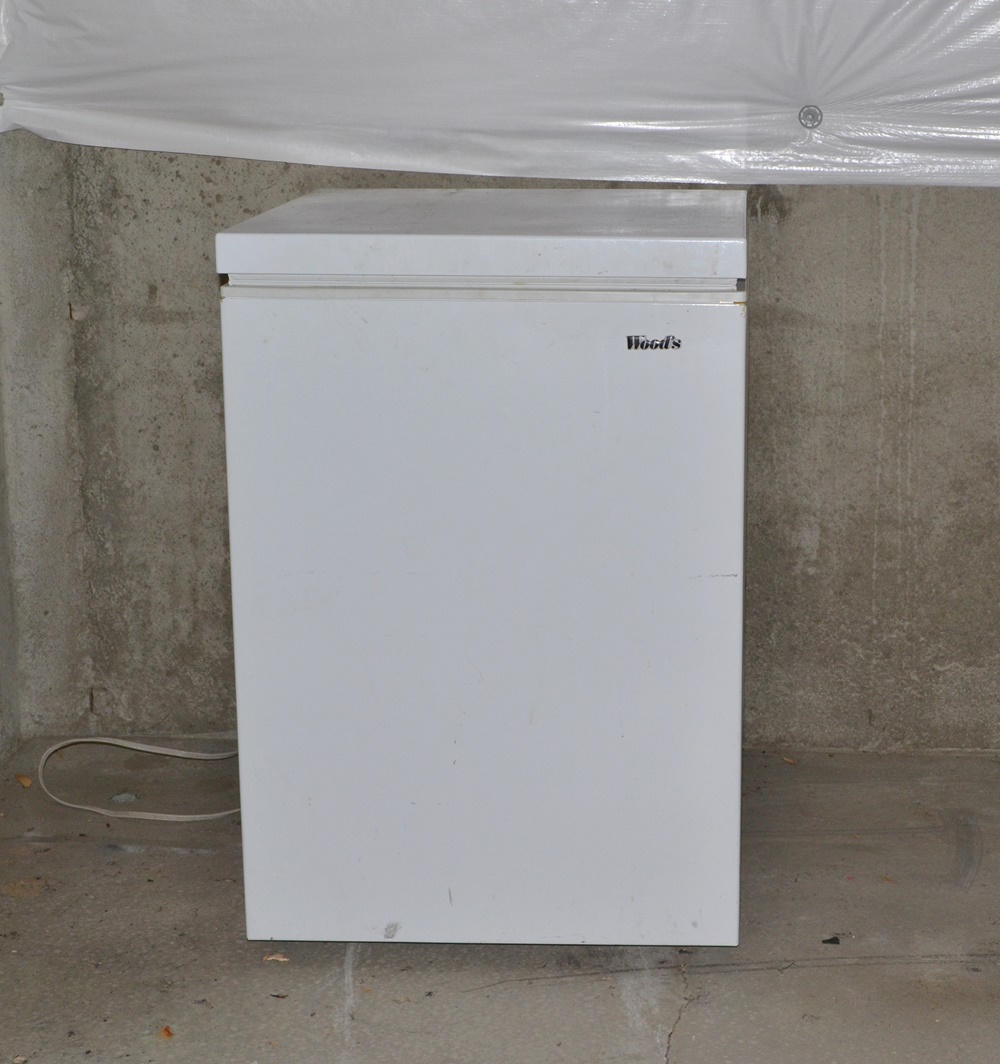Woods 5.3 Cu. Ft. Compact Chest Freezer