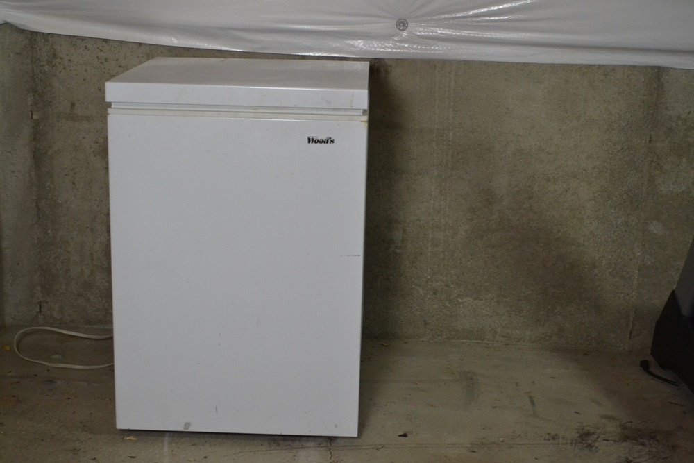 Woods 5.3 Cu. Ft. Compact Chest Freezer