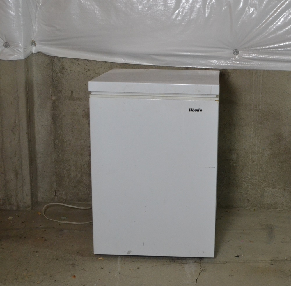 Woods 5.3 Cu. Ft. Compact Chest Freezer