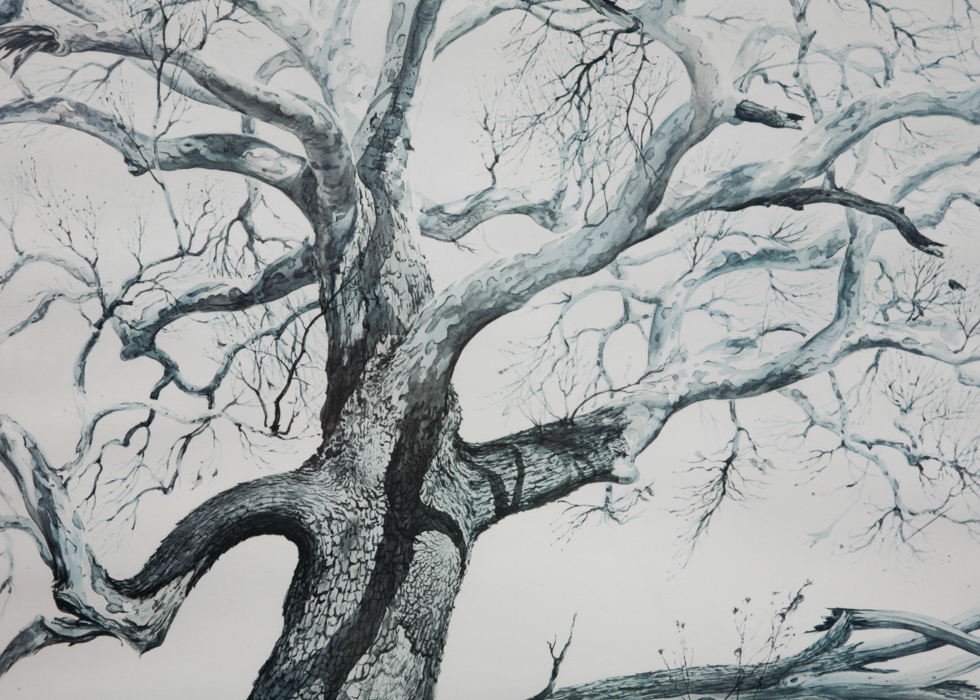 Framed Prints by Frederic James and Aerial View of Lexington, KY