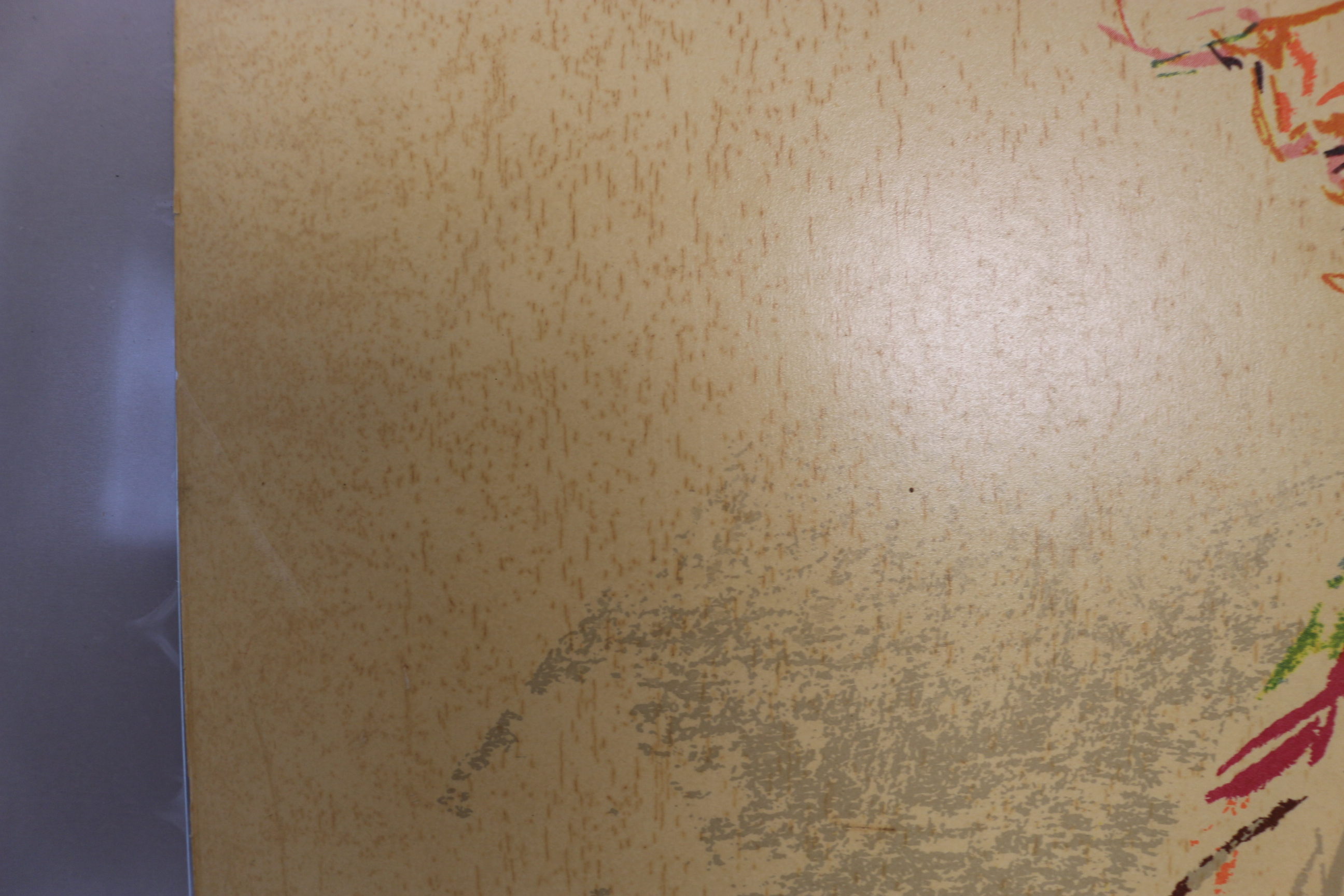 Vintage 1972 Olympic Poster and Large Ikea Poster Frame