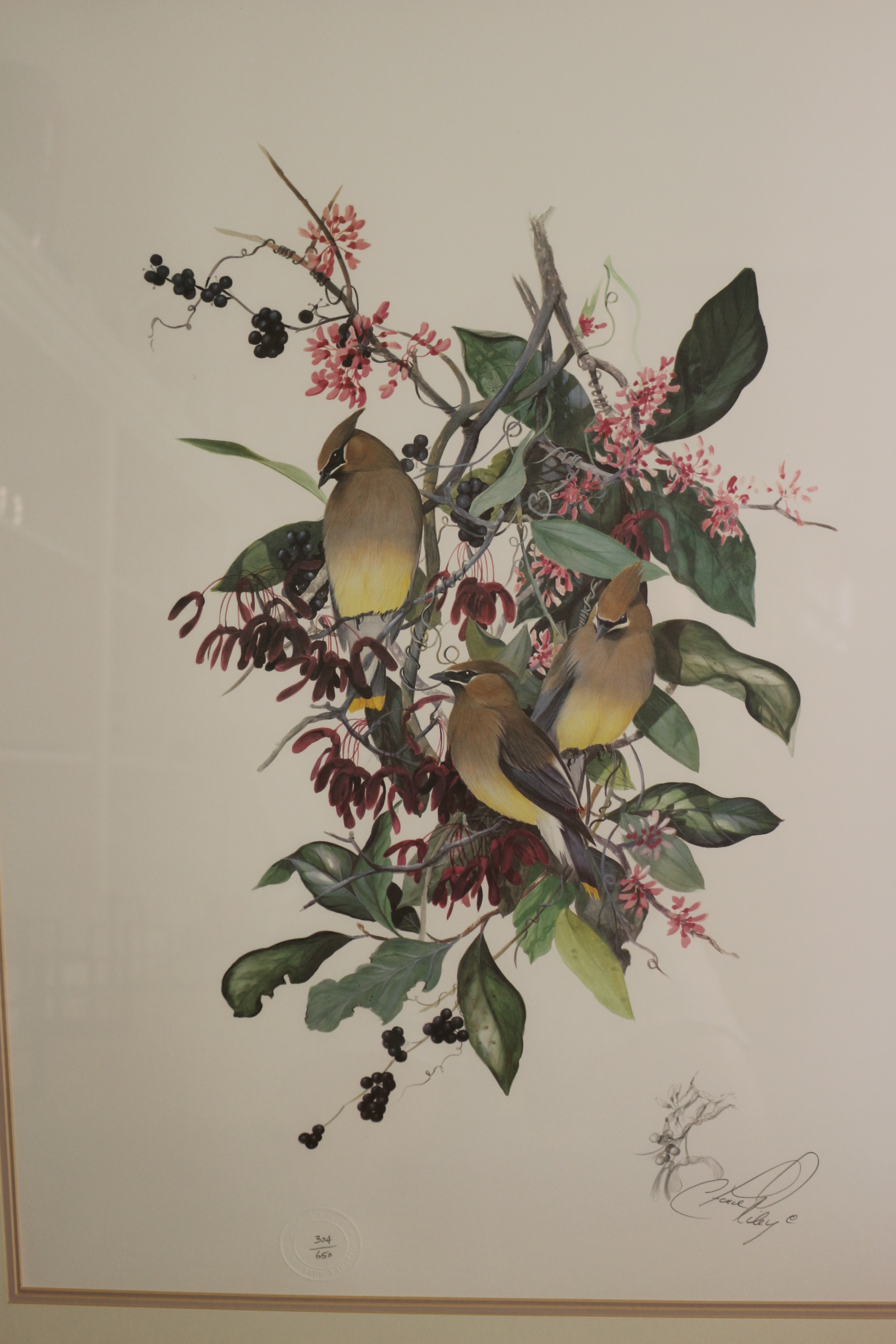 C. Ford Riley Signed Limited Edition Bird Photolithograph