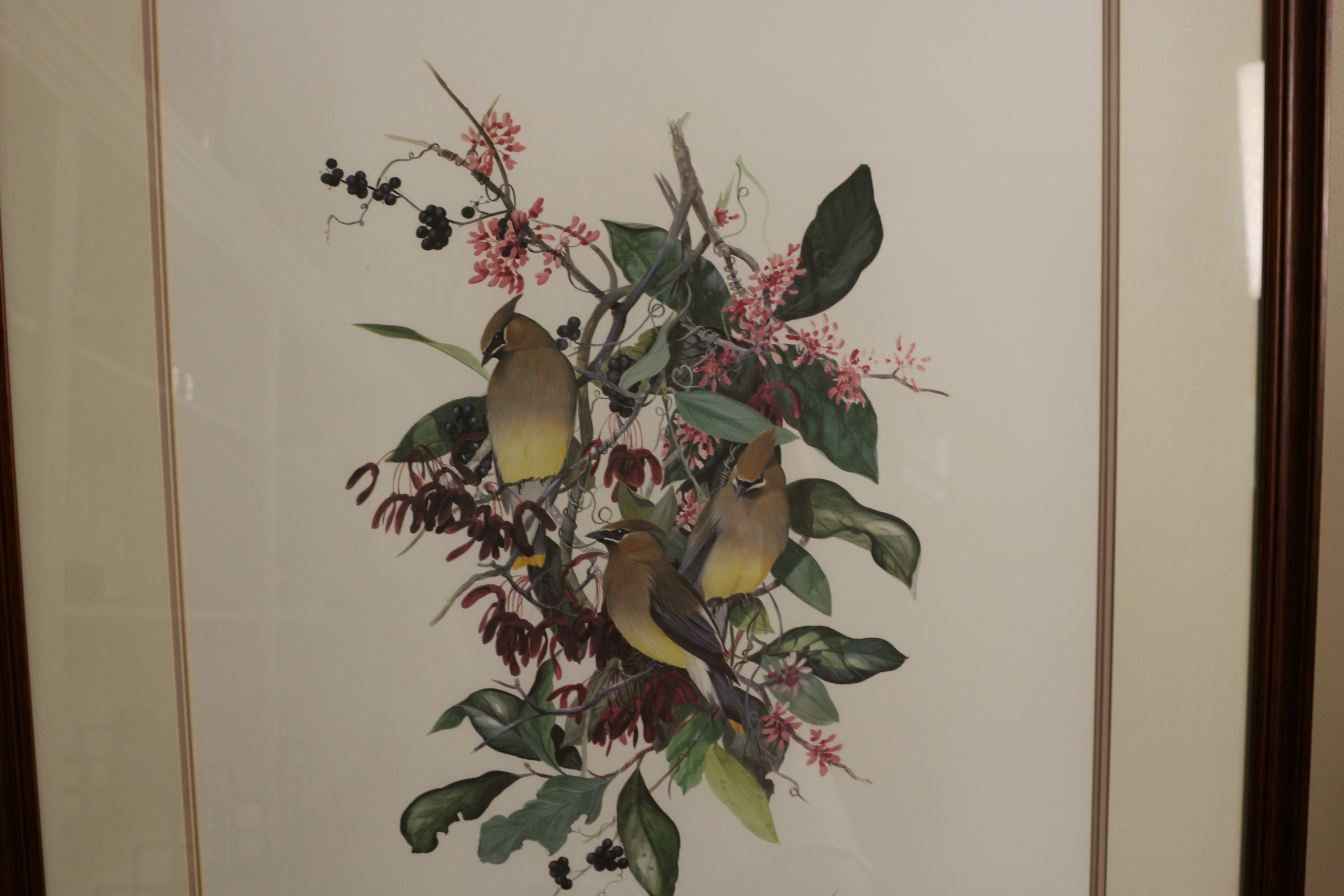 C. Ford Riley Signed Limited Edition Bird Photolithograph