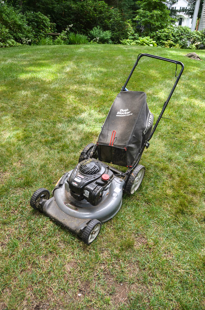 Craftsman Push Lawn Mower With Collection Bag