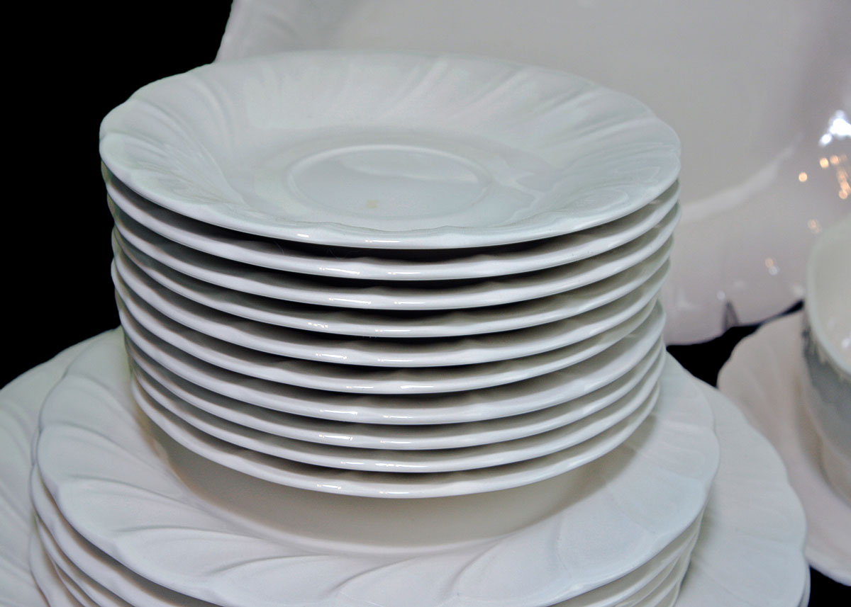 21 Piece Nikko Dishes