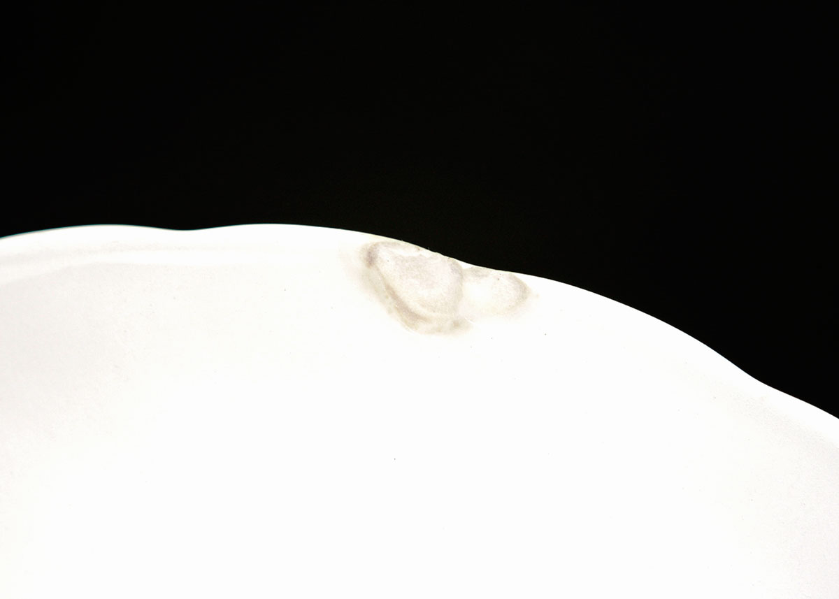 21 Piece Nikko Dishes