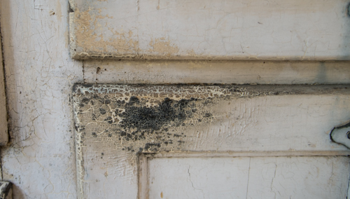 Antique McCray Ice Box