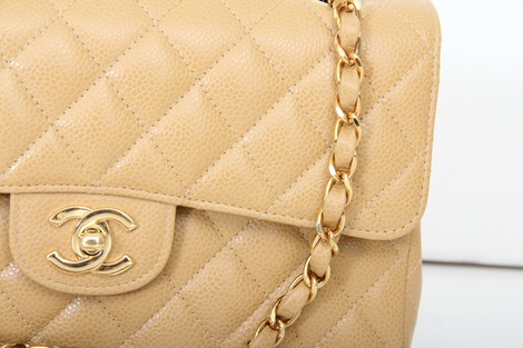 Chanel Classic Flap Bag