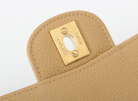 Chanel Classic Flap Bag