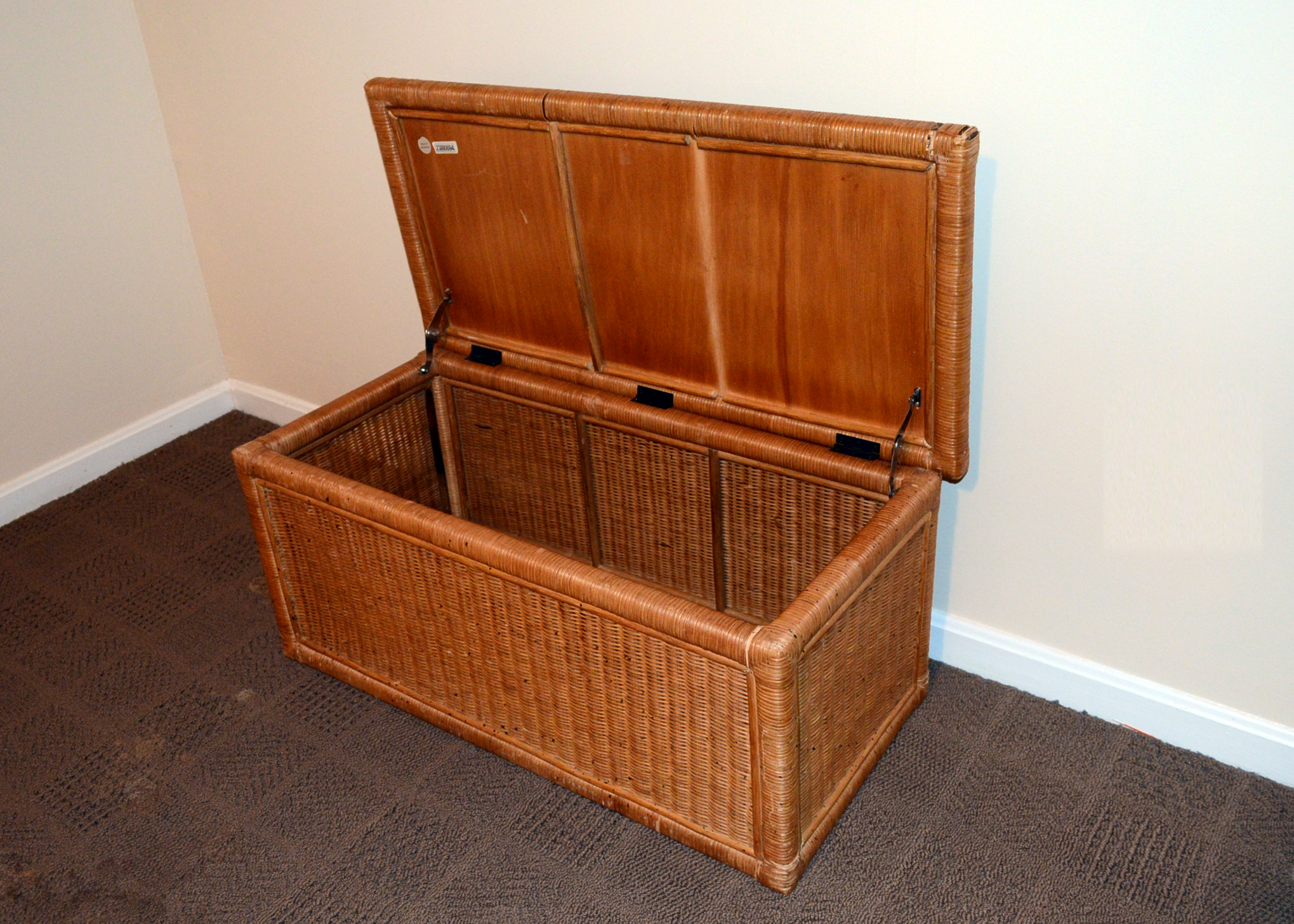 Rattan Trunk