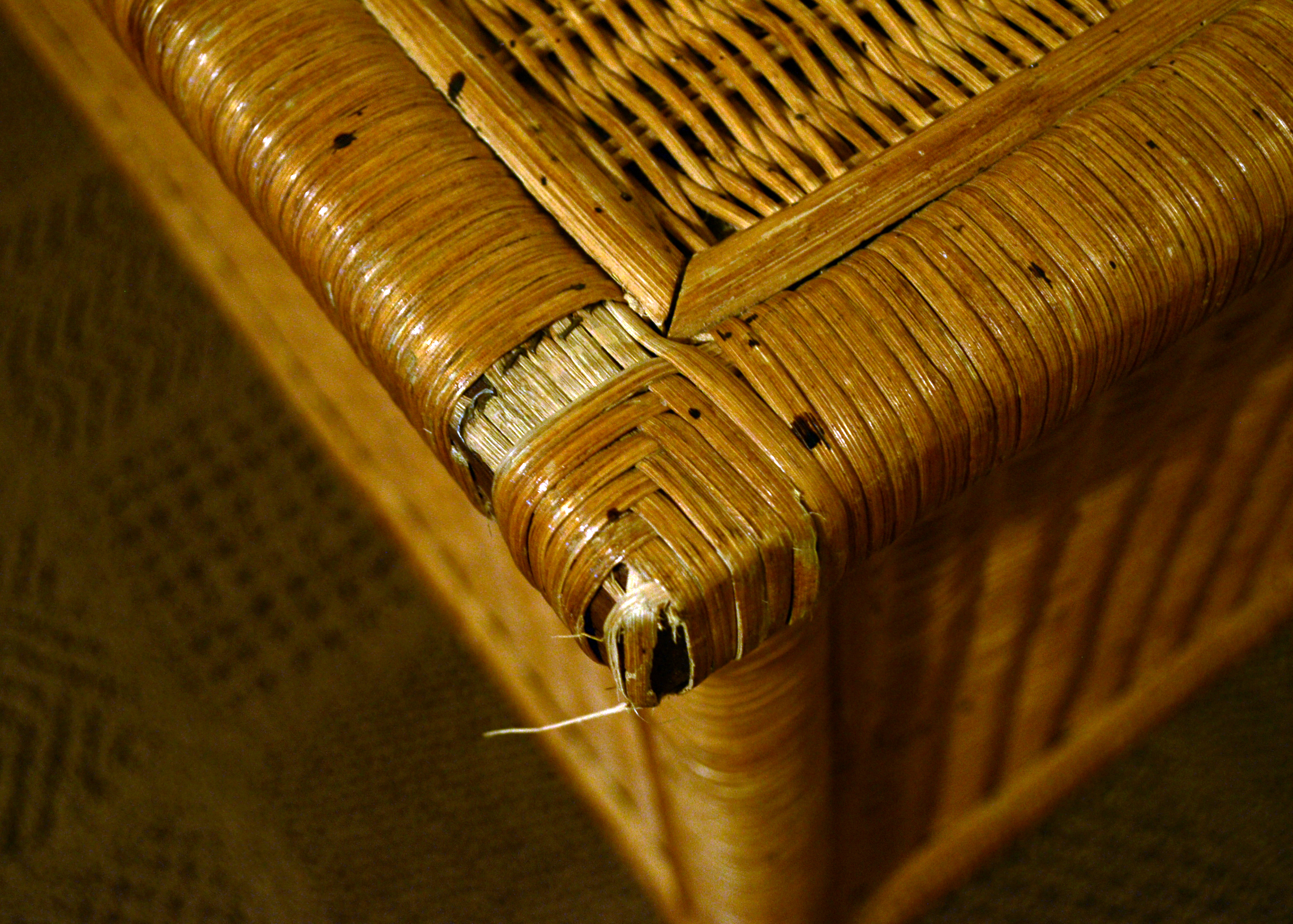 Rattan Trunk
