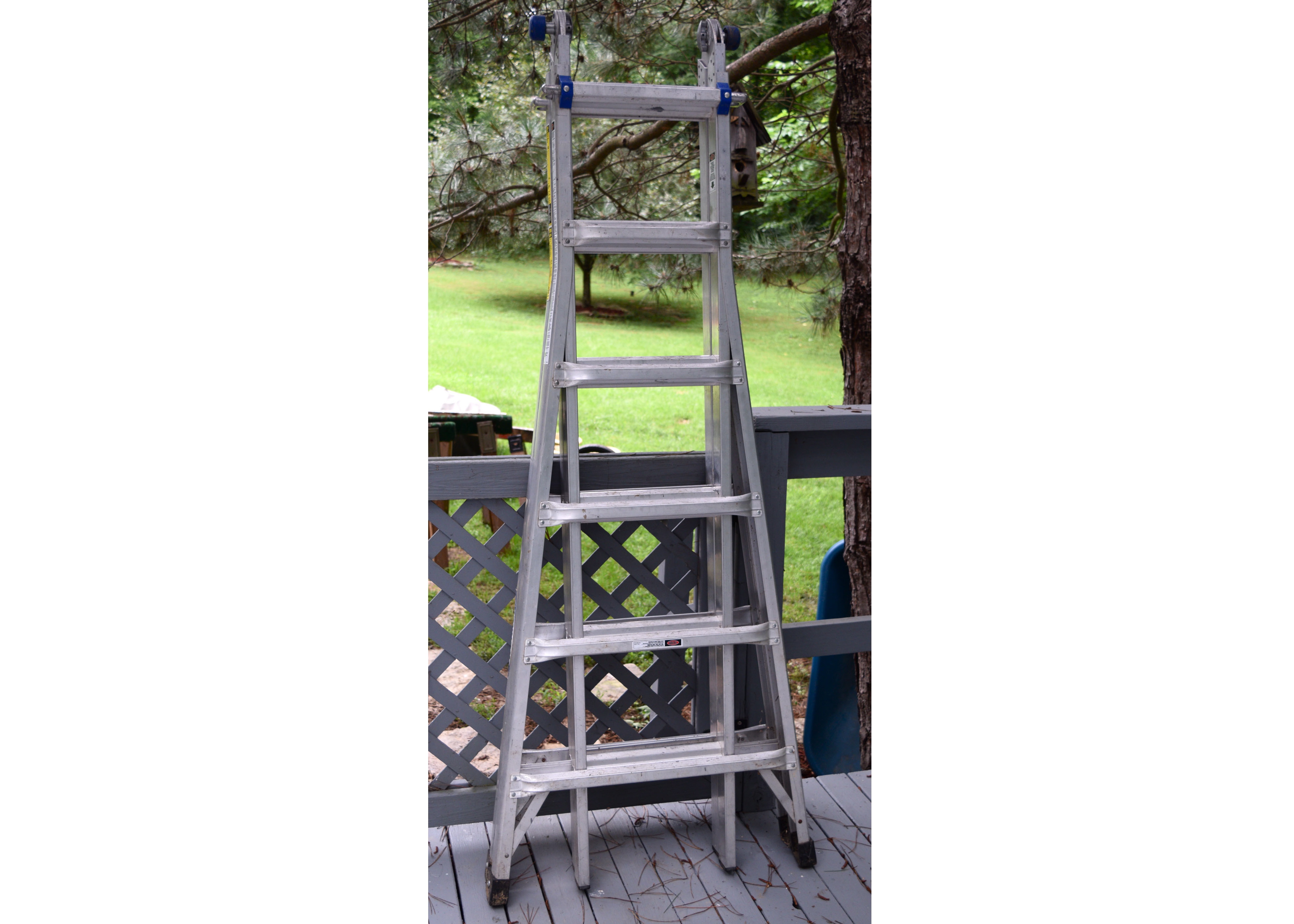 Werner 25' Ladder