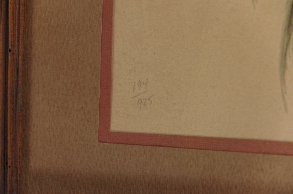 Robert Katona Limited Edition Print "Crazy Horse"