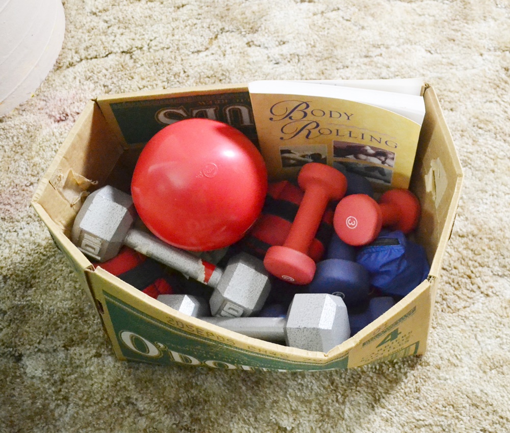 Weider Pro 4100 Home Gym, Hand Weights, & Stability Balls