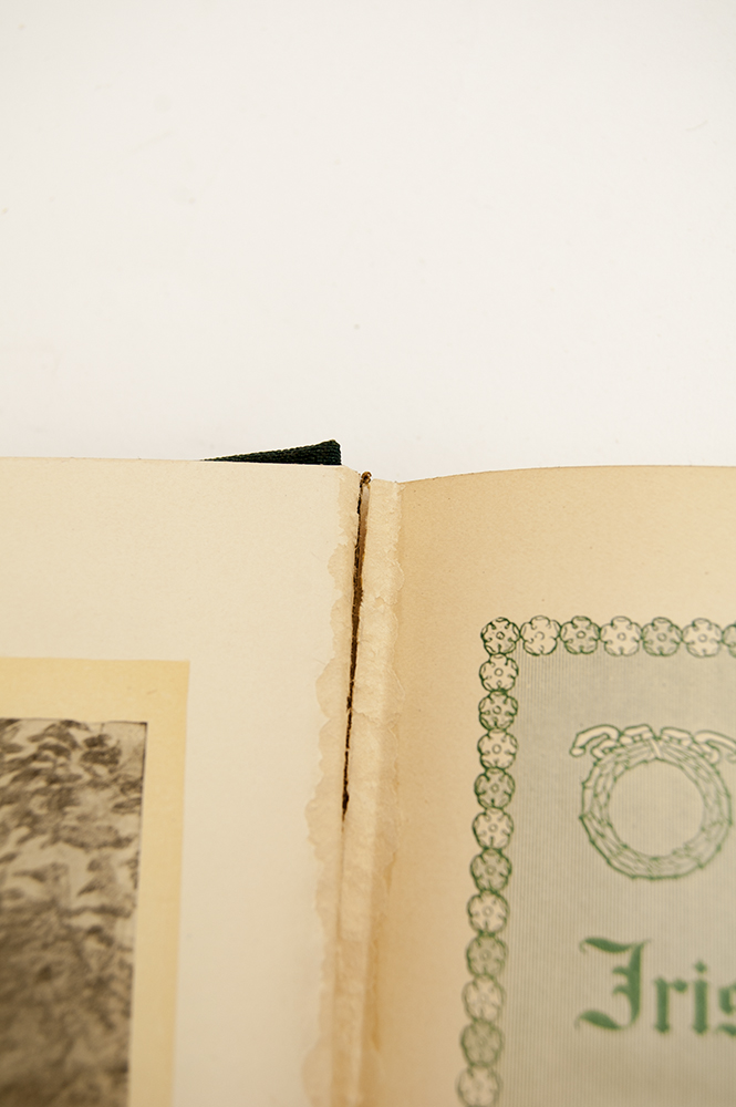 Vintage Book Collection