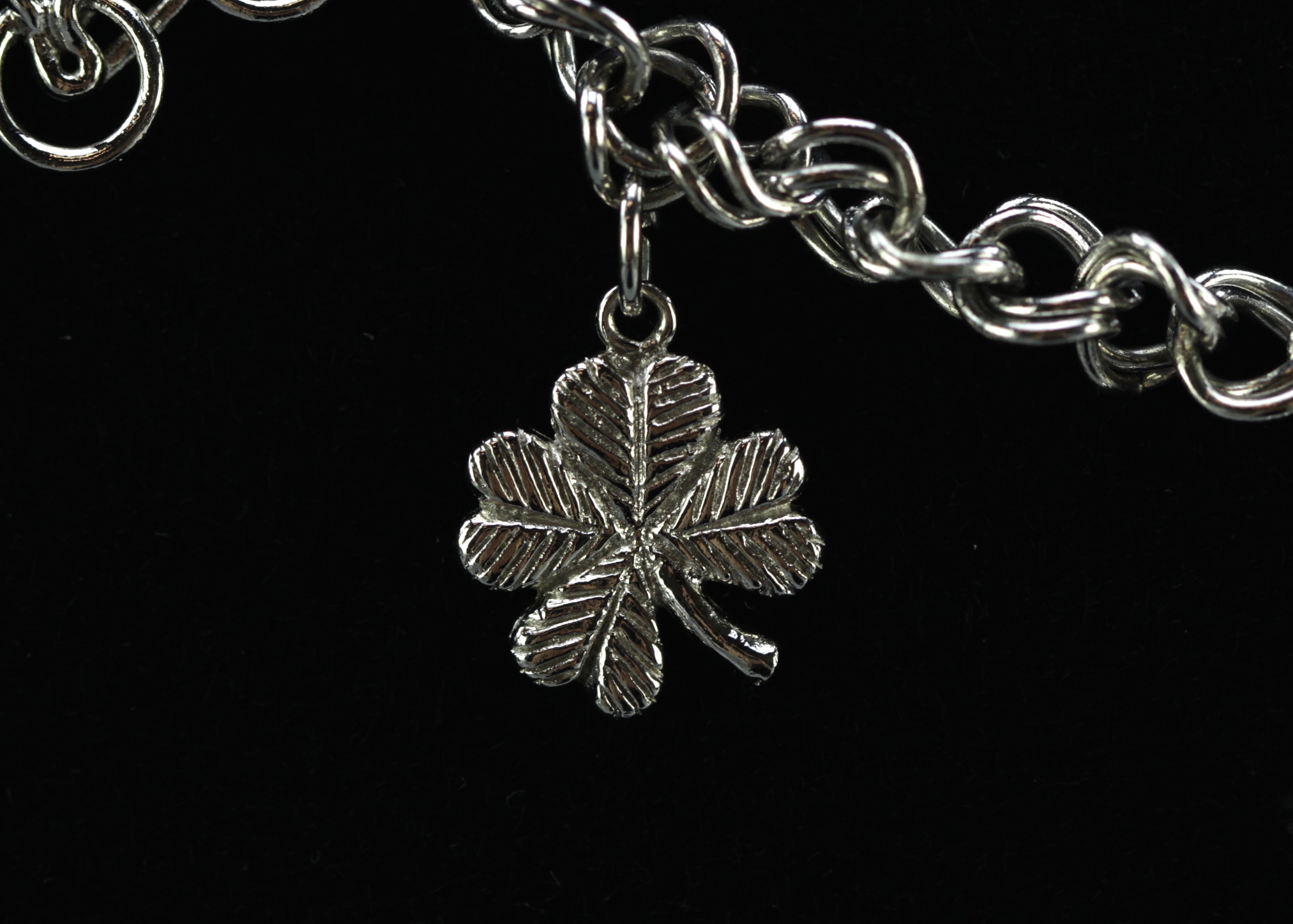 Sterling Silver Charm Bracelet