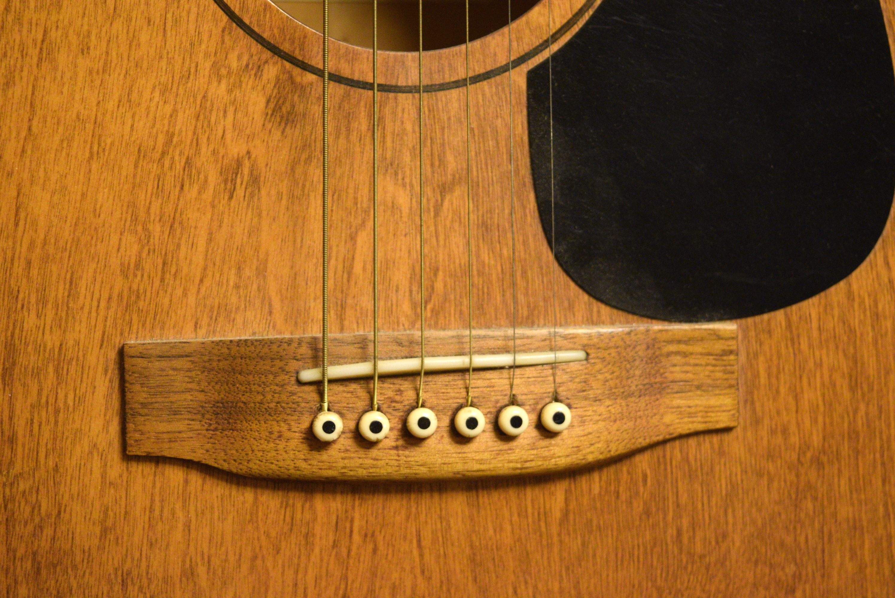 Seagull Menestrel Acoustic Guitar