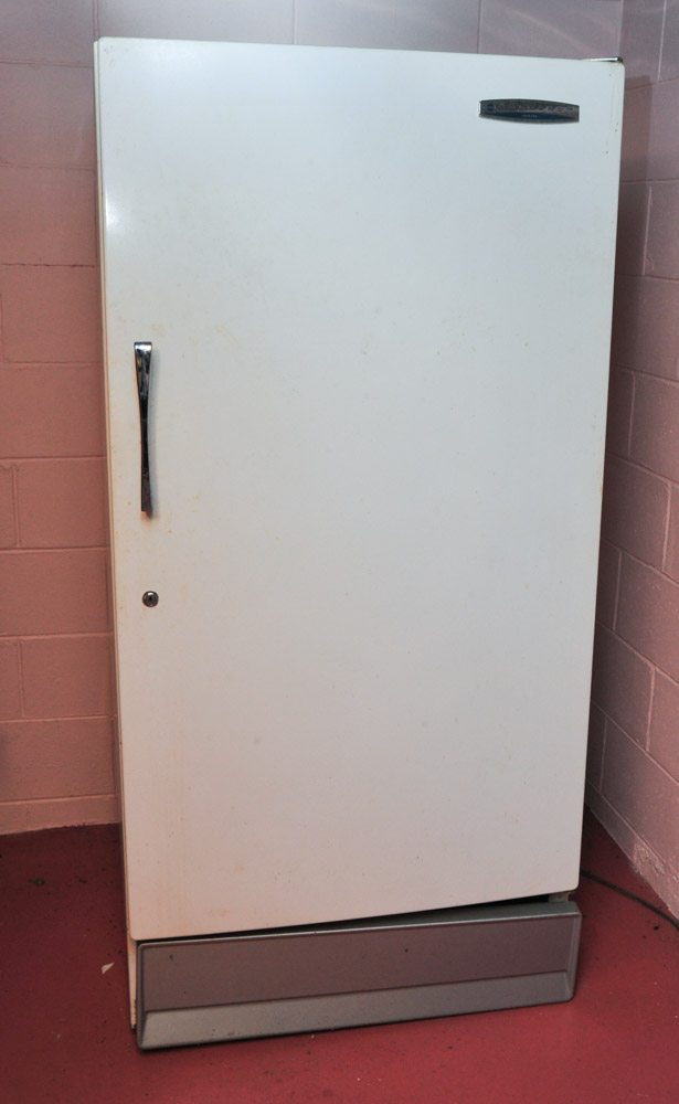 Sears Coldspot Freezer